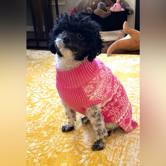 Blueberry Pet Pink Glitter Dog Sweater Size Large - Picture 6 of 6
